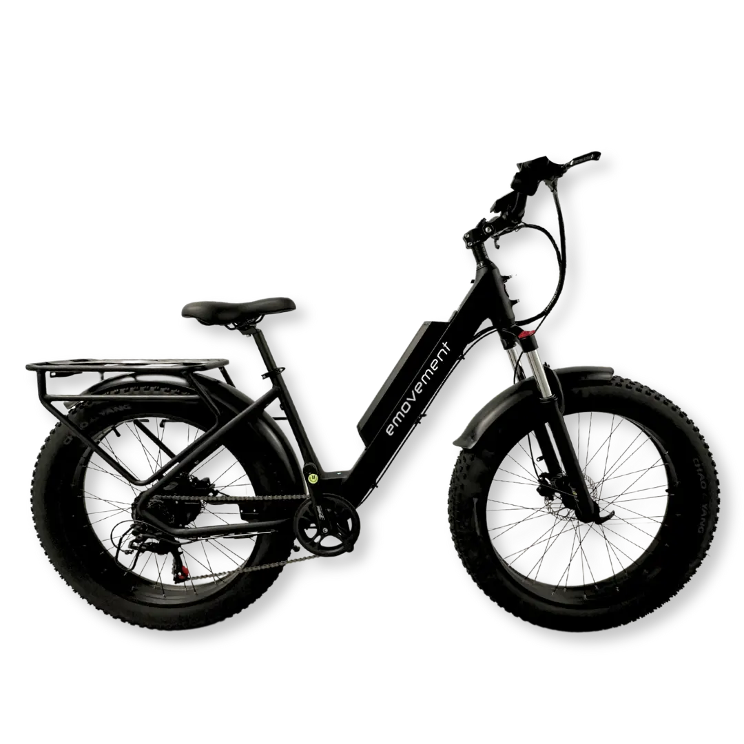 E-Movement Aries (Black) Fat Tyre Mountain Electric Bike