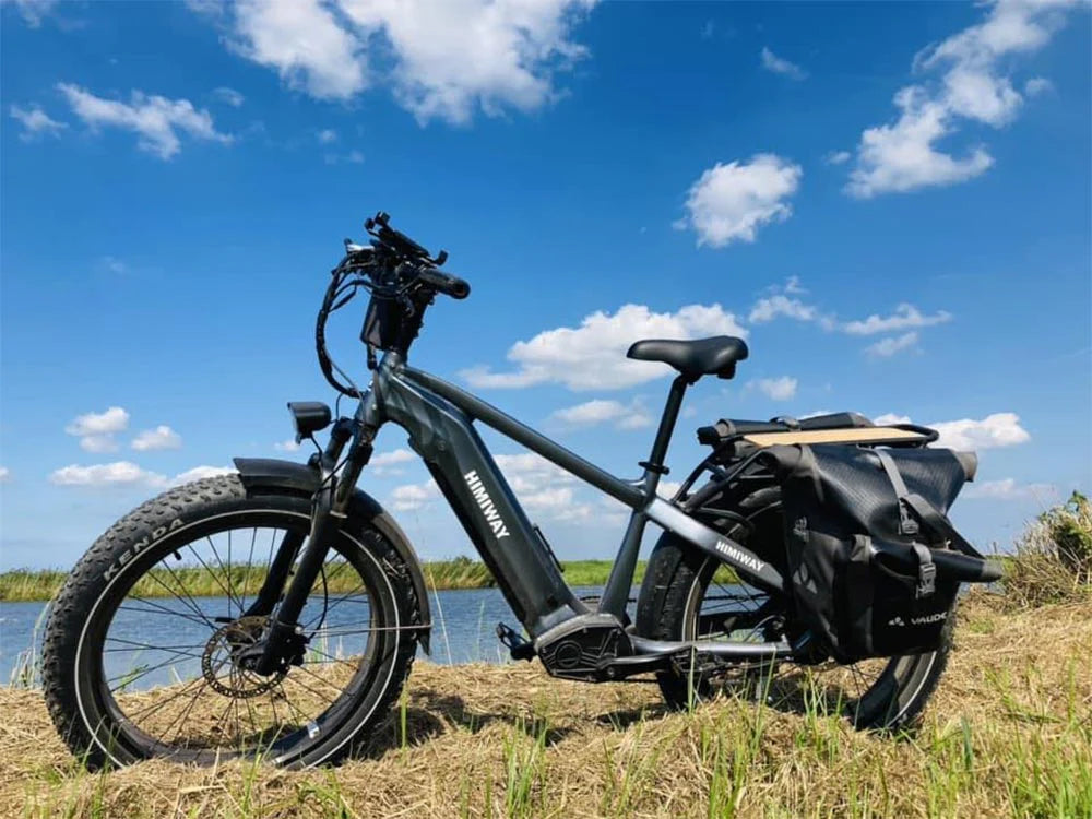 Himiway Premium Zebra D5 All-Terrain Electric Fat Bike