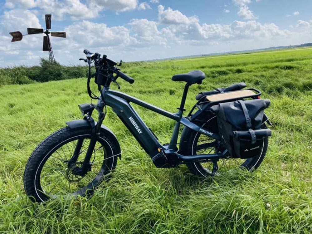 Himiway Premium Zebra D5 All-Terrain Electric Fat Bike