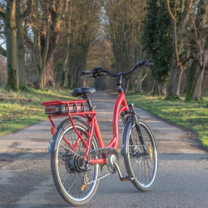 RooDog Chic Grande City Step Through Commuting 250W 36V Electric Bike