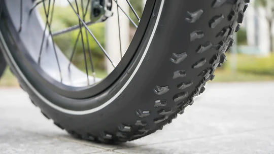 Himiway Premium Zebra D5 All-Terrain Electric Fat Bike