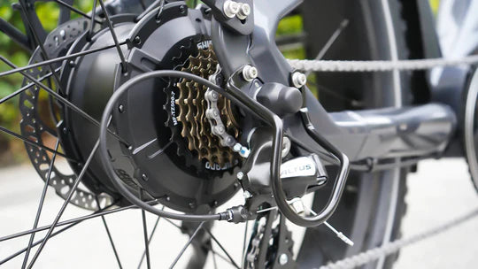 Himiway Premium Zebra D5 All-Terrain Electric Fat Bike