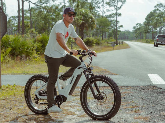 Himiway Premium Zebra Step Through All-terrain Electric Fat Bike