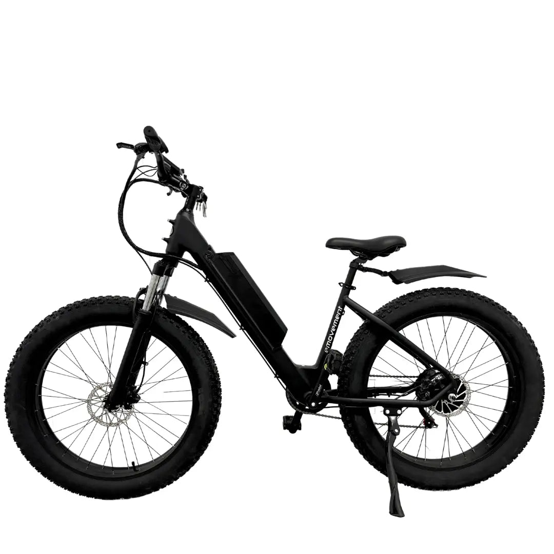 E-Movement Aries (Black) Fat Tyre Mountain Electric Bike – Eco Electric ...