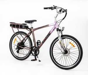 RooDog Tourer City Commuting 250W 36V Electric Bike