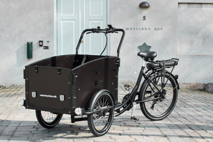 AM Cargo Ultimate Curve Cargo Electric Tricycle – Black