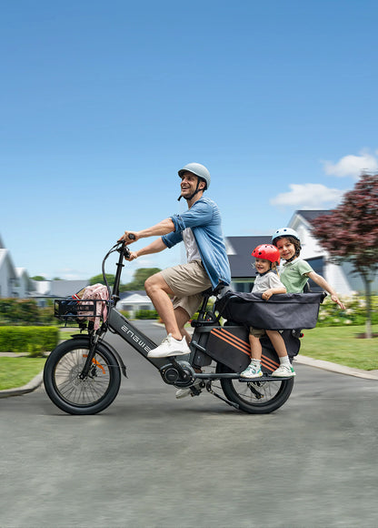 ENGWE LE20 250W Mid-drive Torque Sensor Step-Thru Cargo Electric Bike