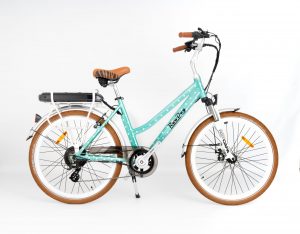 RooDog Polka Dot City Step Through Commuting 250W 36V Electric Bike