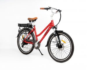 RooDog Polka Dot City Step Through Commuting 250W 36V Electric Bike