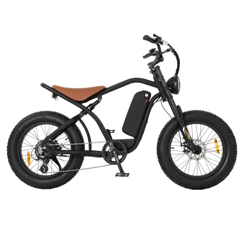 RooDog Rogue Fat Tyre Commuting 250W 36V Electric Bike