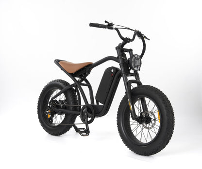 RooDog Rogue Fat Tyre Commuting 250W 36V Electric Bike