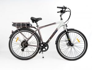 RooDog Tourer City Commuting 250W 36V Electric Bike