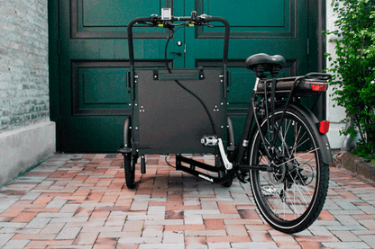 AM Cargo Ultimate Curve Cargo Electric Tricycle – Black