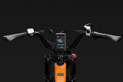 LANKELEISI X3000 MAX 2000W Dual Motor 130km Endurance Electric Mountain Bike