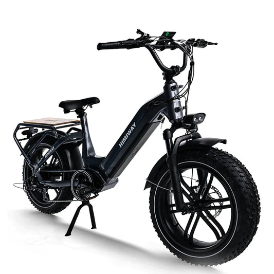 Himiway Big Dog Electric Cargo Bike plus Bike Bag