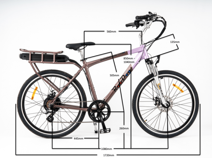 RooDog Tourer City Commuting 250W 36V Electric Bike