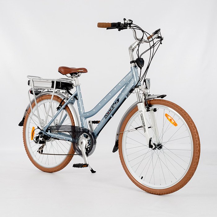 RooDog Polka Dot City Step Through Commuting 250W 36V Electric Bike